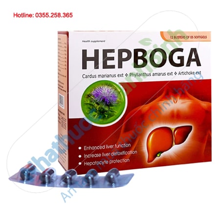 Hepboga hỗ trợ tăng cường chức năng gan giải độc gan
