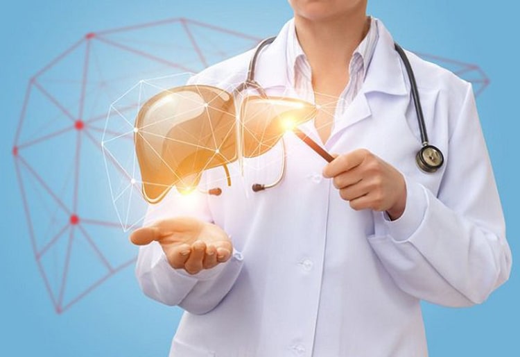 Cà gai leo xạ đen giúp hỗ trợ giảm các triệu chứng vàng da mệt mỏi, mề đay do suy giảm chức năng gan