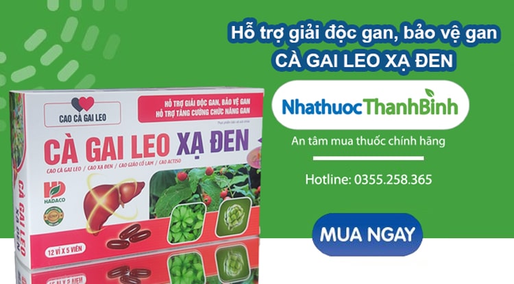 Mua Cà gai leo xạ đen chính hãng tại Nhà thuốc Thanh Bình
