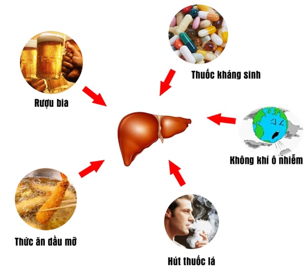 Những tác nhân gây hại cho gan
