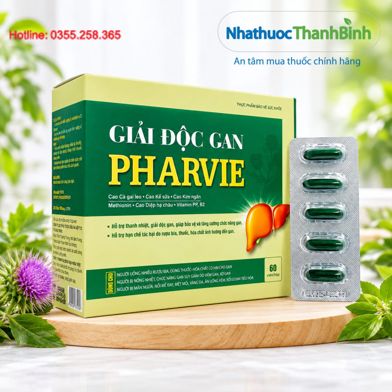 Viên giải độc gan Pharvie hỗ trợ thanh nhiệt và tăng cường chức năng gan