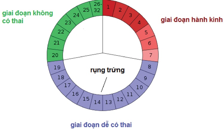 Gametix F giúp hỗ trợ điều hòa kinh nguyệt