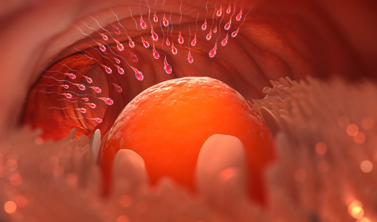 TPCN Ovaq Plus giúp tăng khả năng thụ thai tự nhiên