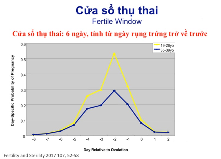 Canh ngày rụng trứng sẽ giúp tăng khả năng đậu thai