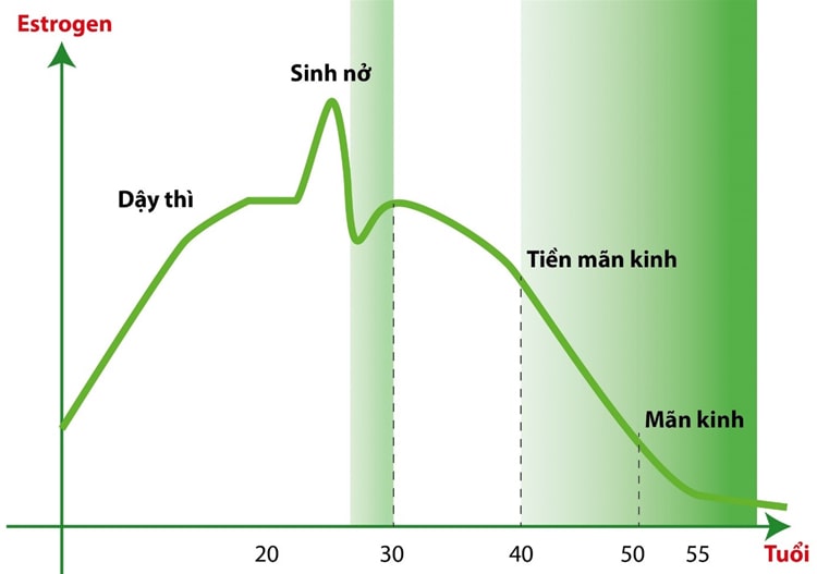 Nồng độ Estrogen thay đổi theo độ tuổi