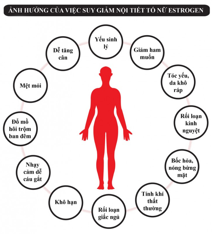 Ảnh hưởng của việc suy giảm nội tiết tố nữ Estrogen
