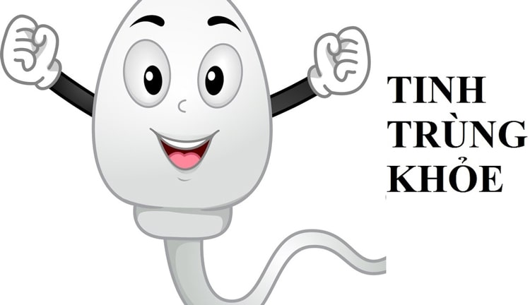 Uống Proxeed Plus giúp hỗ trợ giúp tình trùng khỏe mạnh