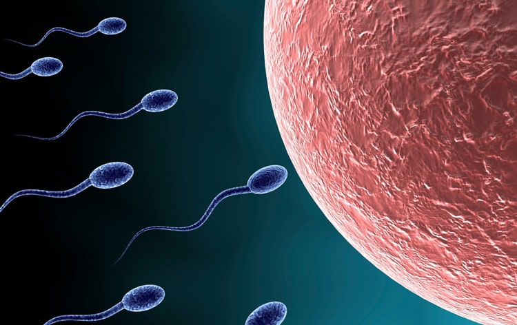 Proxeed Plus dùng cho nam giới hiếm muộn chất lượng tinh trùng yếu dị dạng nhiều