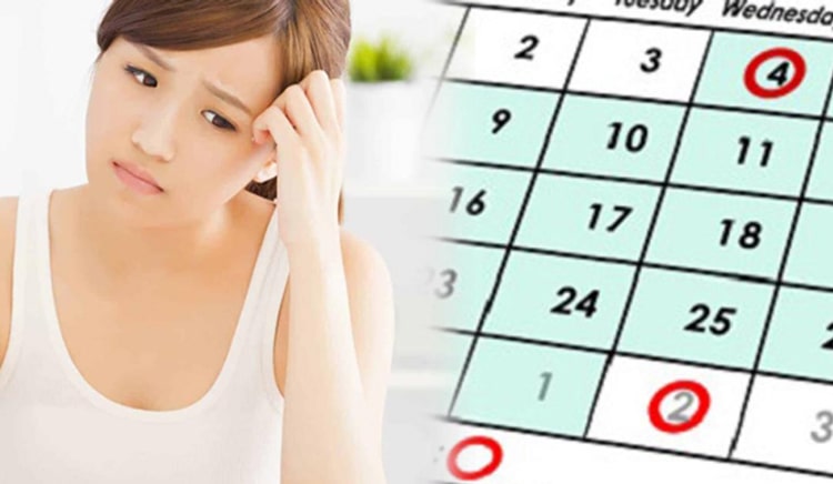 An kinh Pasteur giúp hỗ trợ điều hòa kinh nguyệt hiệu quả