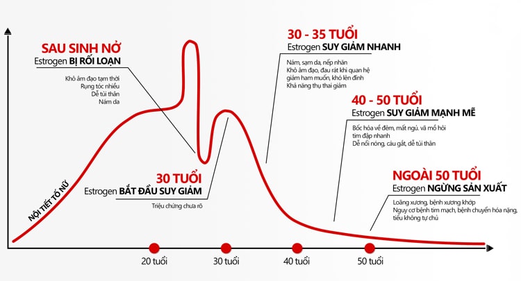 Suy giảm nội tiết tố theo từng độ tuổi