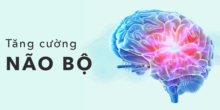 Những thói quen hàng ngày giúp cải thiện chức năng não bộ