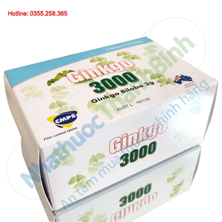 Ginkgo 3000 chứa Ginkgo Biloba giúp tăng tuần hoàn não