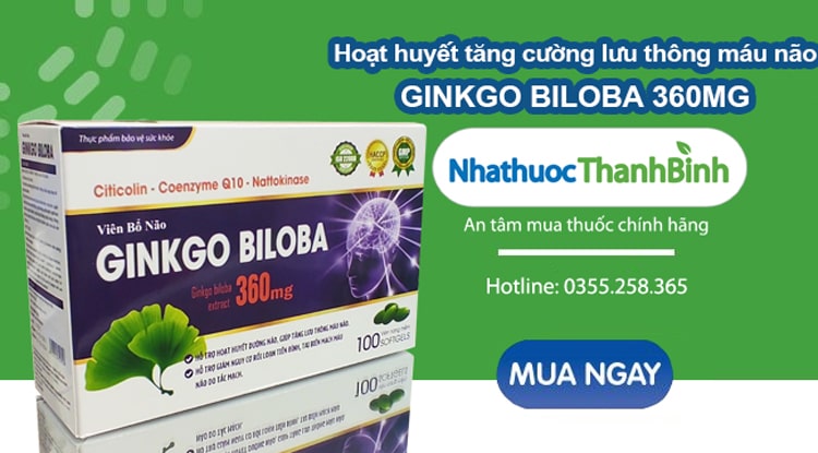 Mua Ginkgo Biloba 360mg chính hãng tại Nhà thuốc Thanh Bình