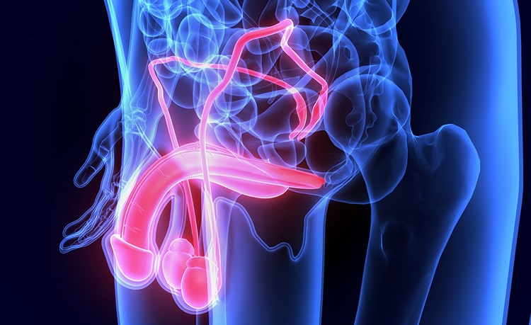 Thuốc Sife 50mg dùng cho nam giới yếu sinh lý rối loạn cương dương