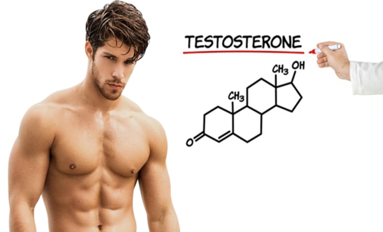 TPCN giúp hỗ trợ tăng sản sinh Testosterone mang lại nhiều tác dụng tích cực cho cơ thể