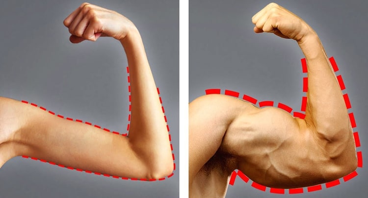 Viên tăng cân Hoa Bảo giúp tăng khả năng hấp thu nâng cao thể lực tăng cân hiệu quả