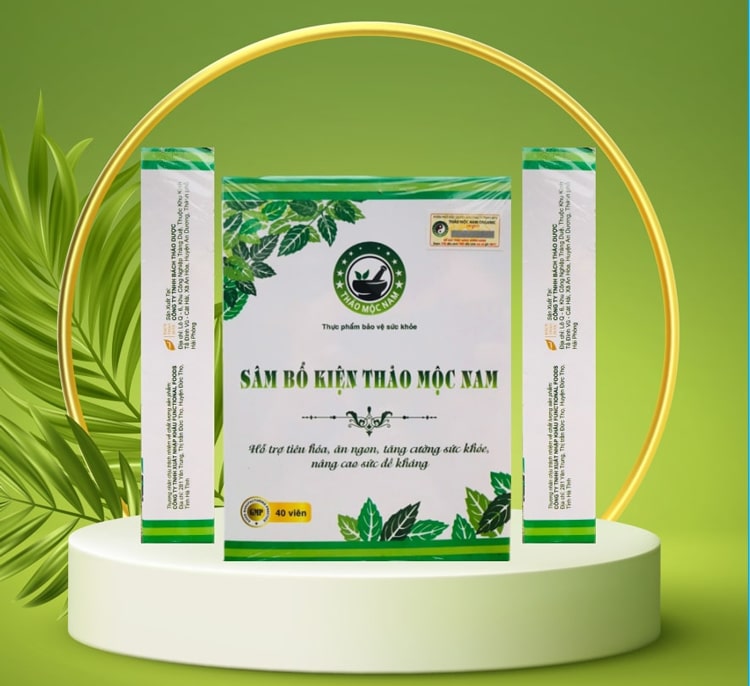 Sâm bổ kiện Thảo Mộc Nam giúp hỗ trợ tiêu hóa tăng cường hấp thu tăng cân hiệu quả