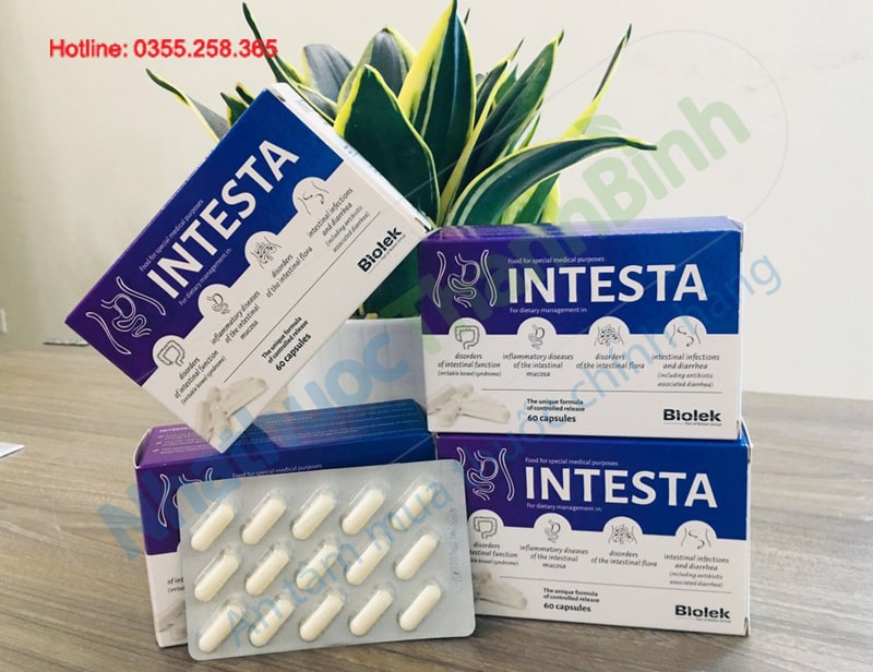 Intesta hỗ trợ làm lành các ổ loét viêm đại tràng và giúp ổn định nhu động ruột