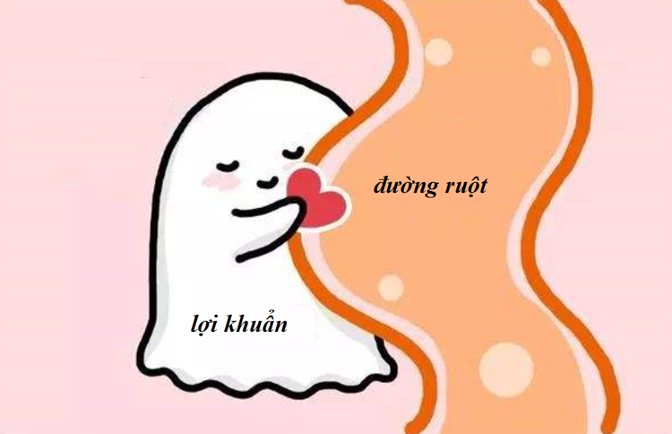 Bổ sung lợi khuẩn đường ruột đúng cách để bé có hệ tiêu hóa khỏe mạnh