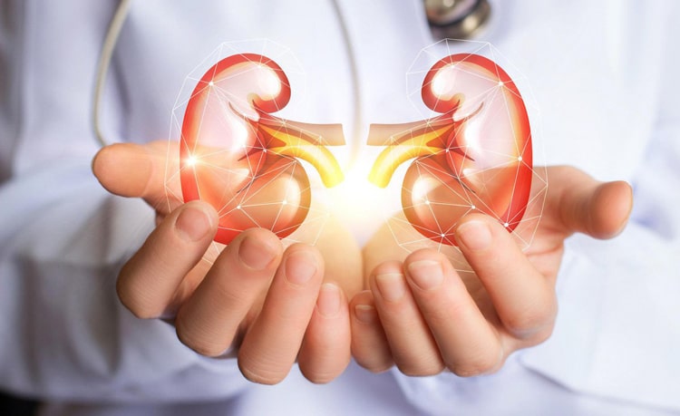 Sản phẩm cũng giúp tăng cường chức năng thận rất tốt