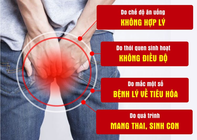 Bệnh trĩ gây ra bởi nhiều thói quen xấu từ cuộc sống sinh hoạt hàng ngày