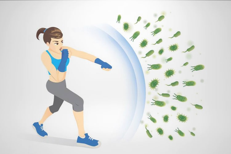 Sản phẩm giúp hỗ trợ cải thiện sức đề kháng bảo vệ cơ thể khỏi các tác nhân gây hại